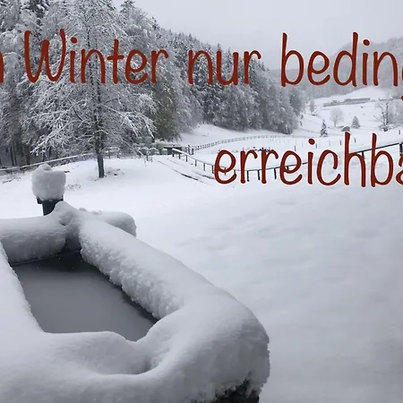 Hochsteinalm טראונקירכן